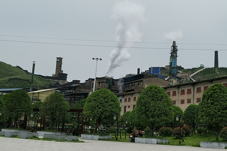 Sb-plant.jpg